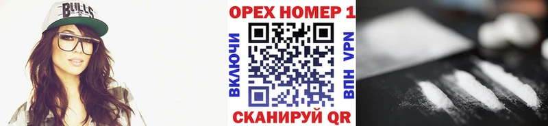 Купить закладки  Ряжск  Cocaine Эквадор 
