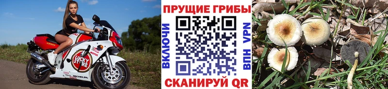 Галлюциногенные грибы MAGIC MUSHROOMS  Купить  Ряжск 